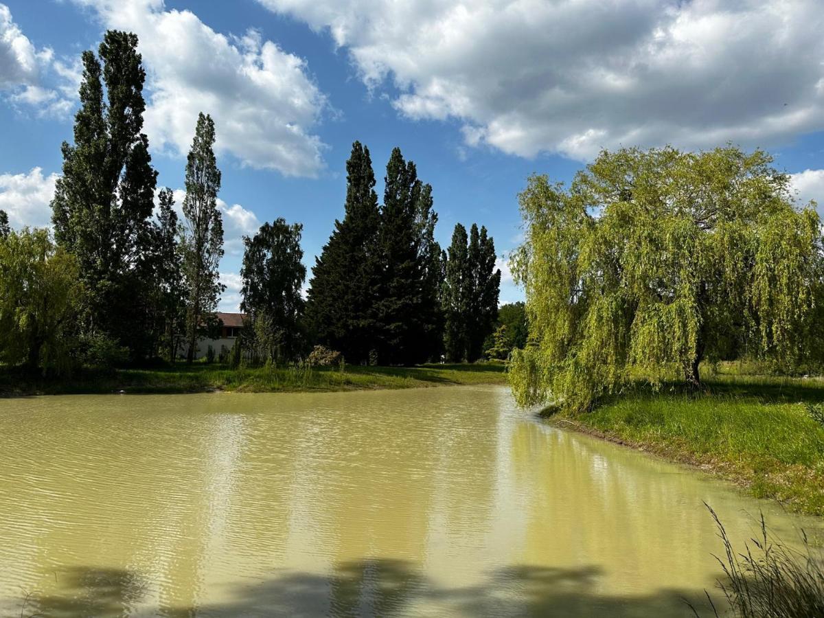 Domaine De Couilleuse Ξενοδοχείο Saint-Laurent-Nouan Εξωτερικό φωτογραφία